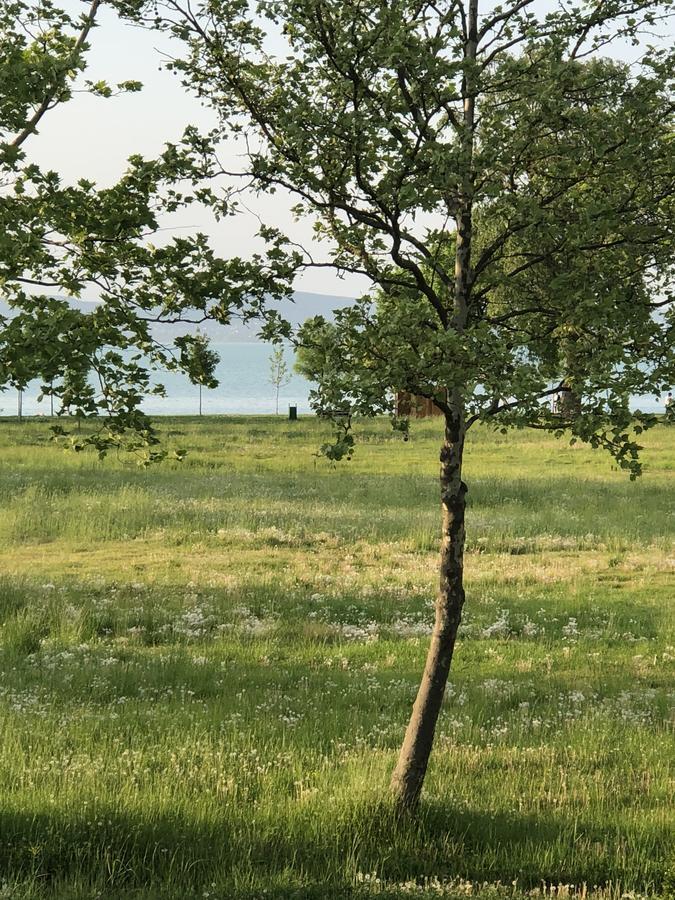 Relax Apartman Leilighet Zamárdi Eksteriør bilde